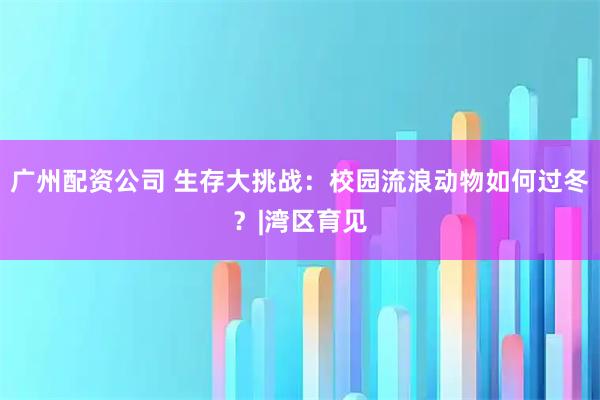 广州配资公司 生存大挑战：校园流浪动物如何过冬？|湾区育见