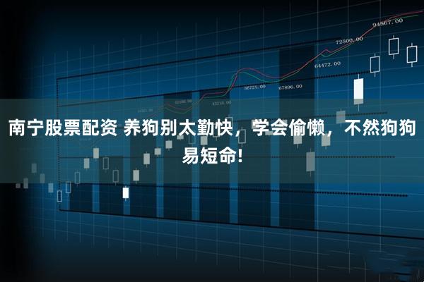南宁股票配资 养狗别太勤快，学会偷懒，不然狗狗易短命!