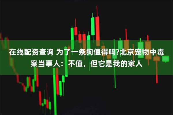 在线配资查询 为了一条狗值得吗?北京宠物中毒案当事人:不值,但它是我的家人